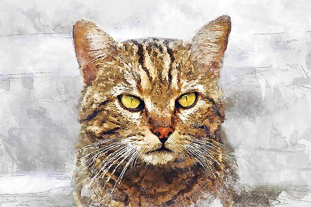 Giclée ART<br>Luigi - Nr. FT Gic-0002 von Franco Thamér | Giclée ART bei Art-Everett.com